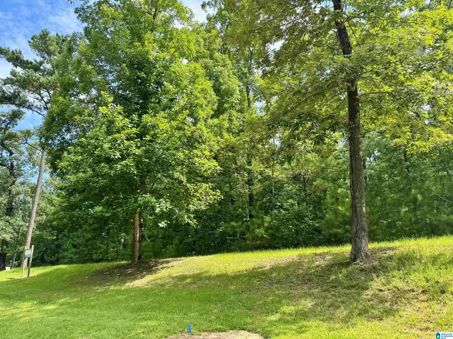 6701 DOUBLE OAK COURT, Shoal Creek, AL 35242 - Image #3