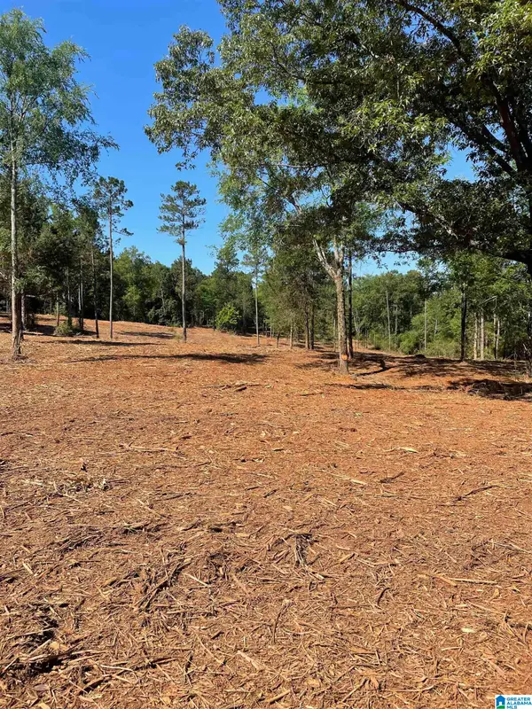 0 IRONATON ROAD, Talladega, AL 35160