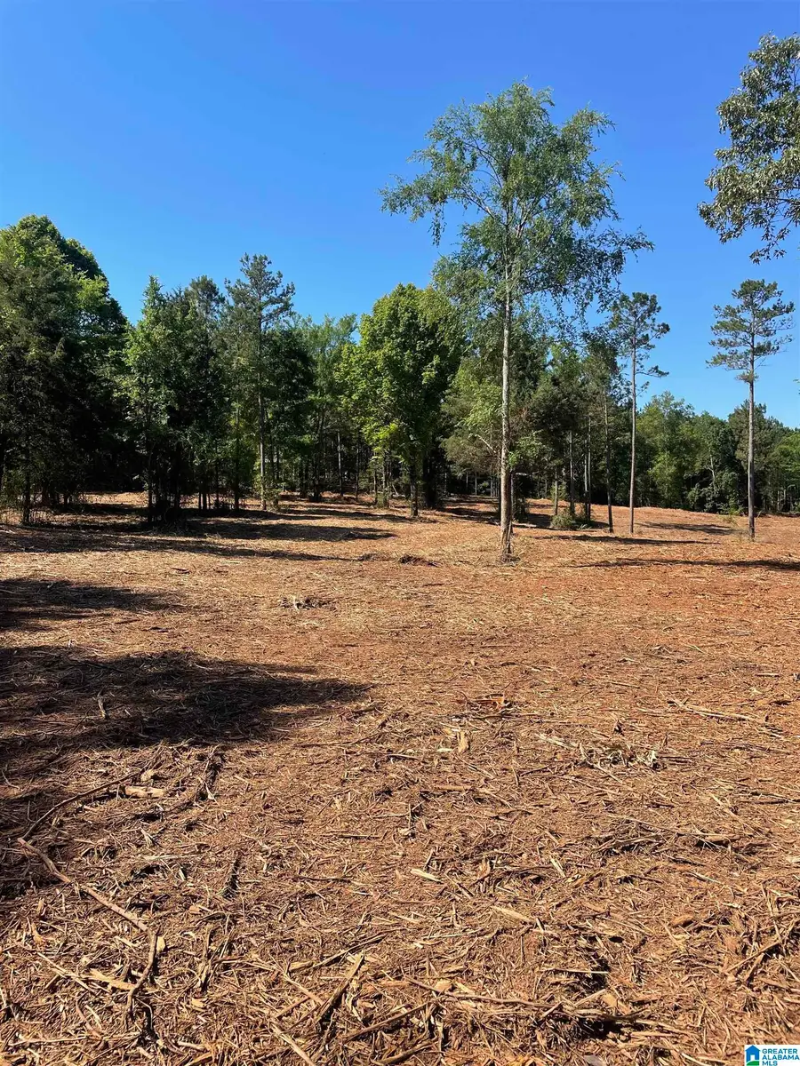 0 IRONATON ROAD, Talladega, AL 35160 - Image #2