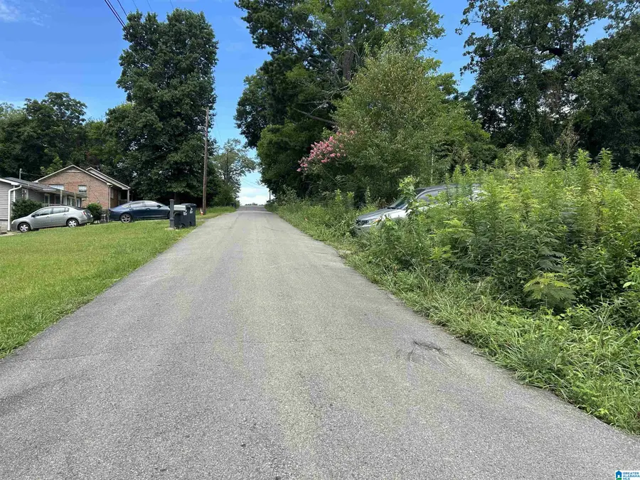 204 STAPP AVENUE SW, Bessemer, AL 35022 - Image #3