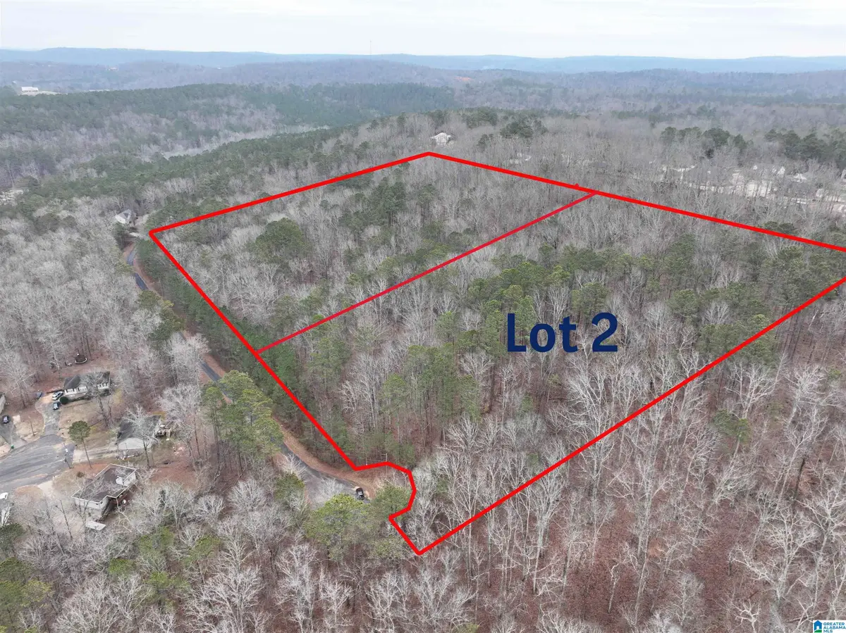 Lot 2 HENDERSON ROAD, Odenville, AL 35120 - Image #1