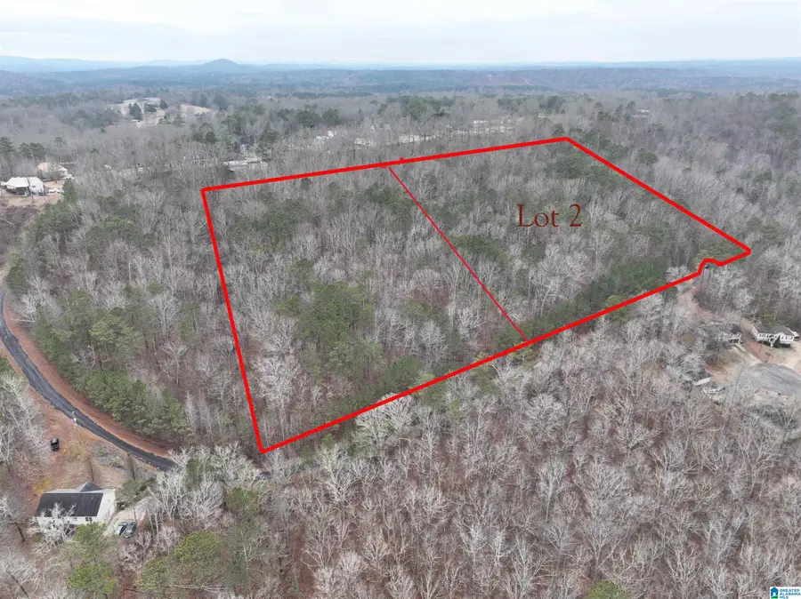 Lot 2 HENDERSON ROAD, Odenville, AL 35120 - Image #2