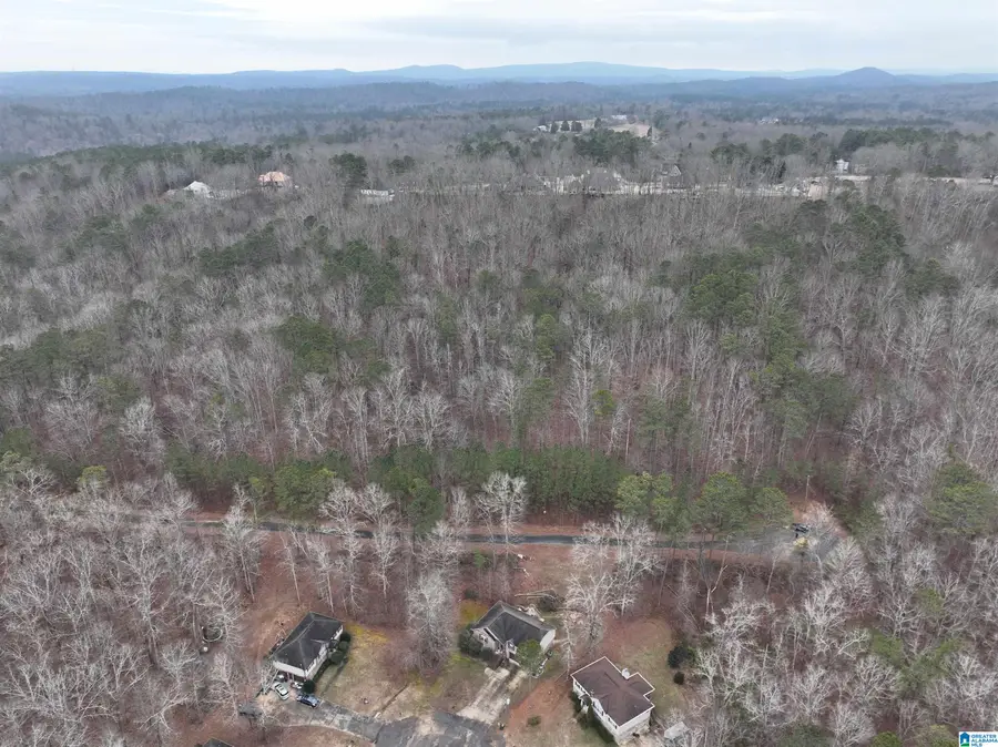 Lot 2 HENDERSON ROAD, Odenville, AL 35120 - Image #3