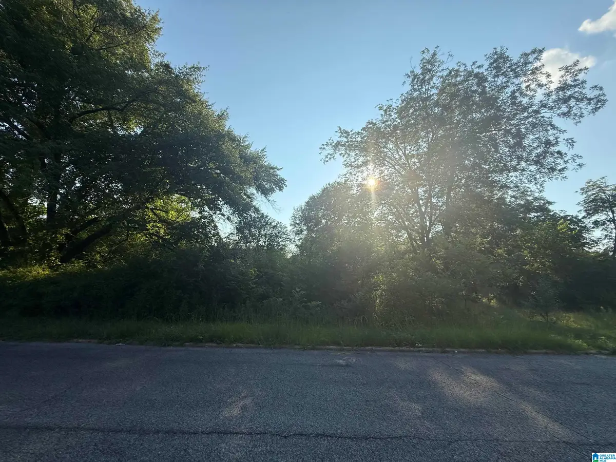 205 WESTERN AVENUE, Sylacauga, AL 35150 - Image #1