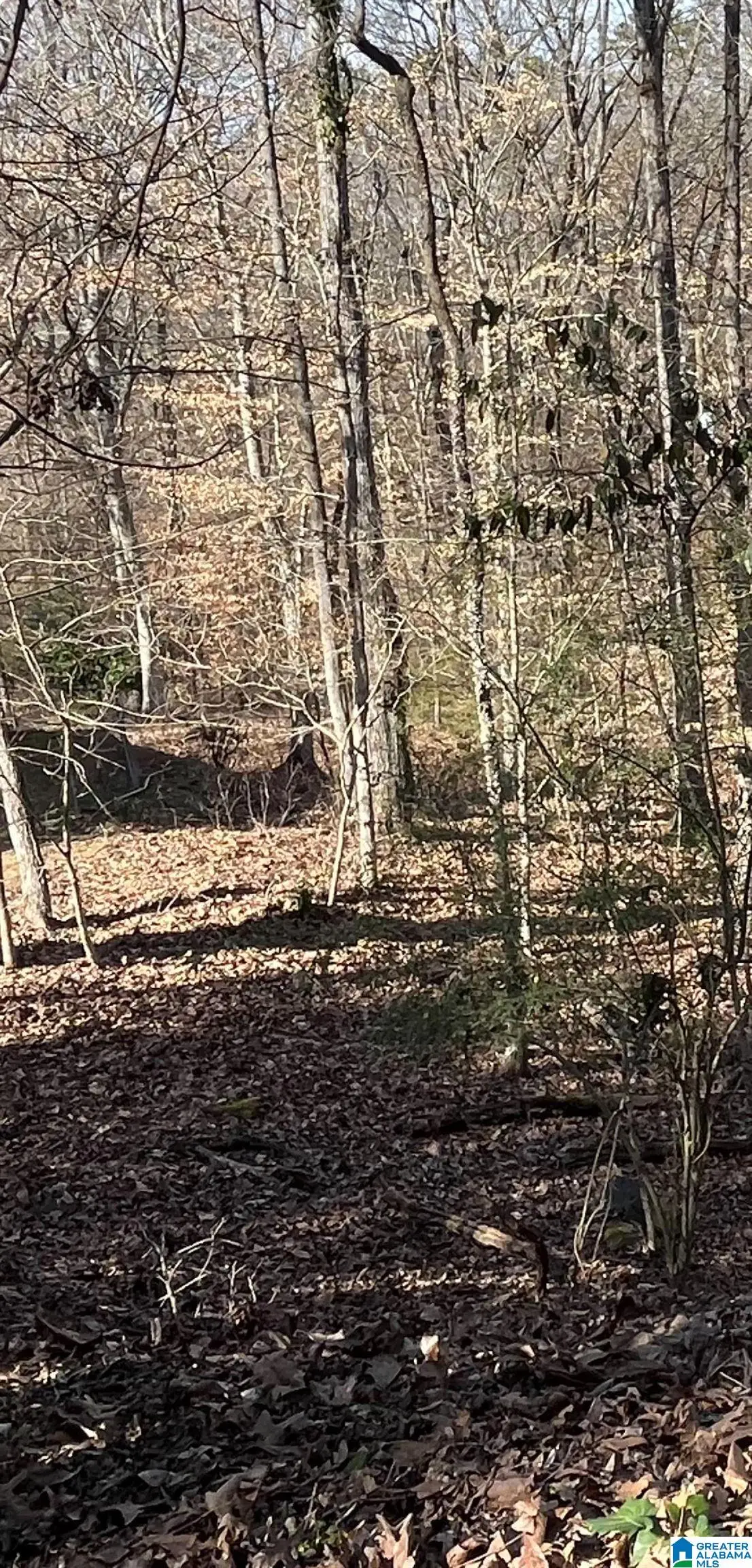 2416 BURGUNDY DRIVE, Birmingham, AL 35244 - Image #1