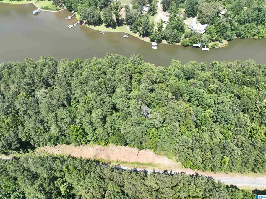 Lot 19 CRYSTAL COVE, Wedowee, AL 36278 - Image #3