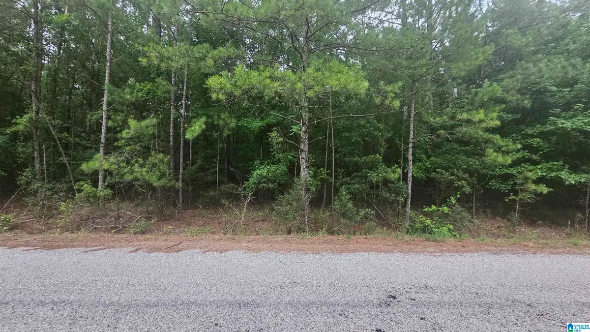 COUNTY ROAD 518, Selma, AL 36701 - Image #1