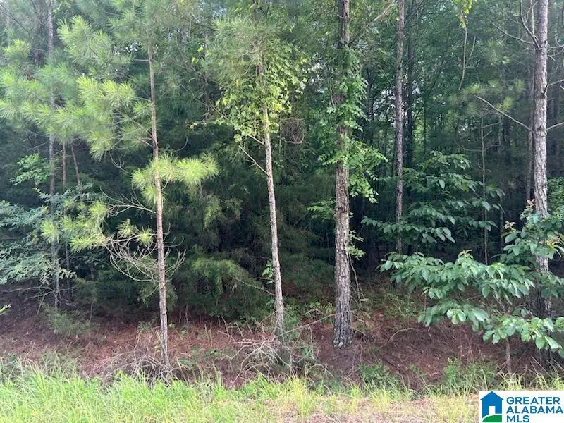 COUNTY ROAD 518, Selma, AL 36701 - Image #2