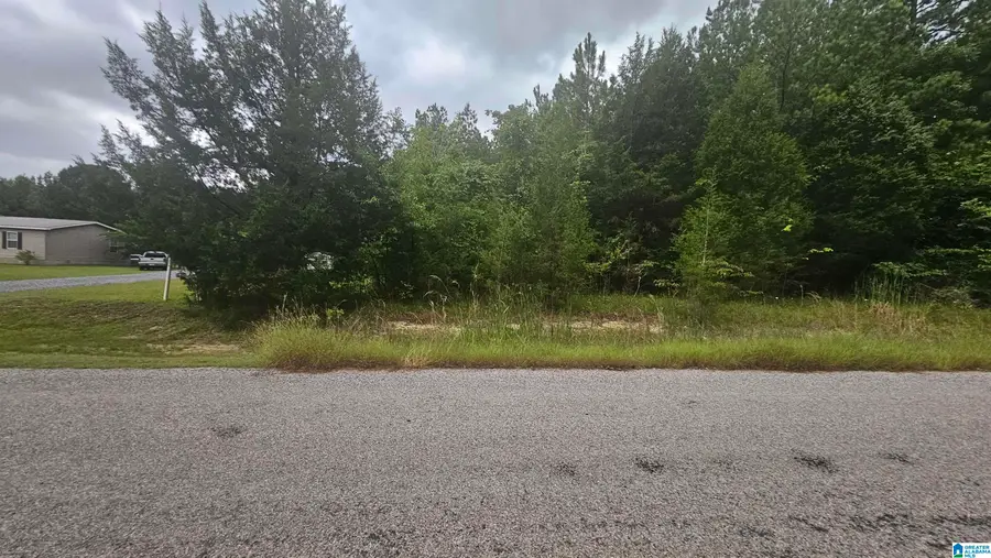 COUNTY ROAD 518, Selma, AL 36701 - Image #3