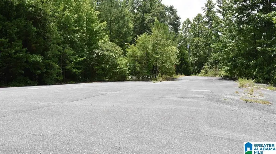0 HIGHWAY 280, Sylacauga, AL 35150 - Image #2