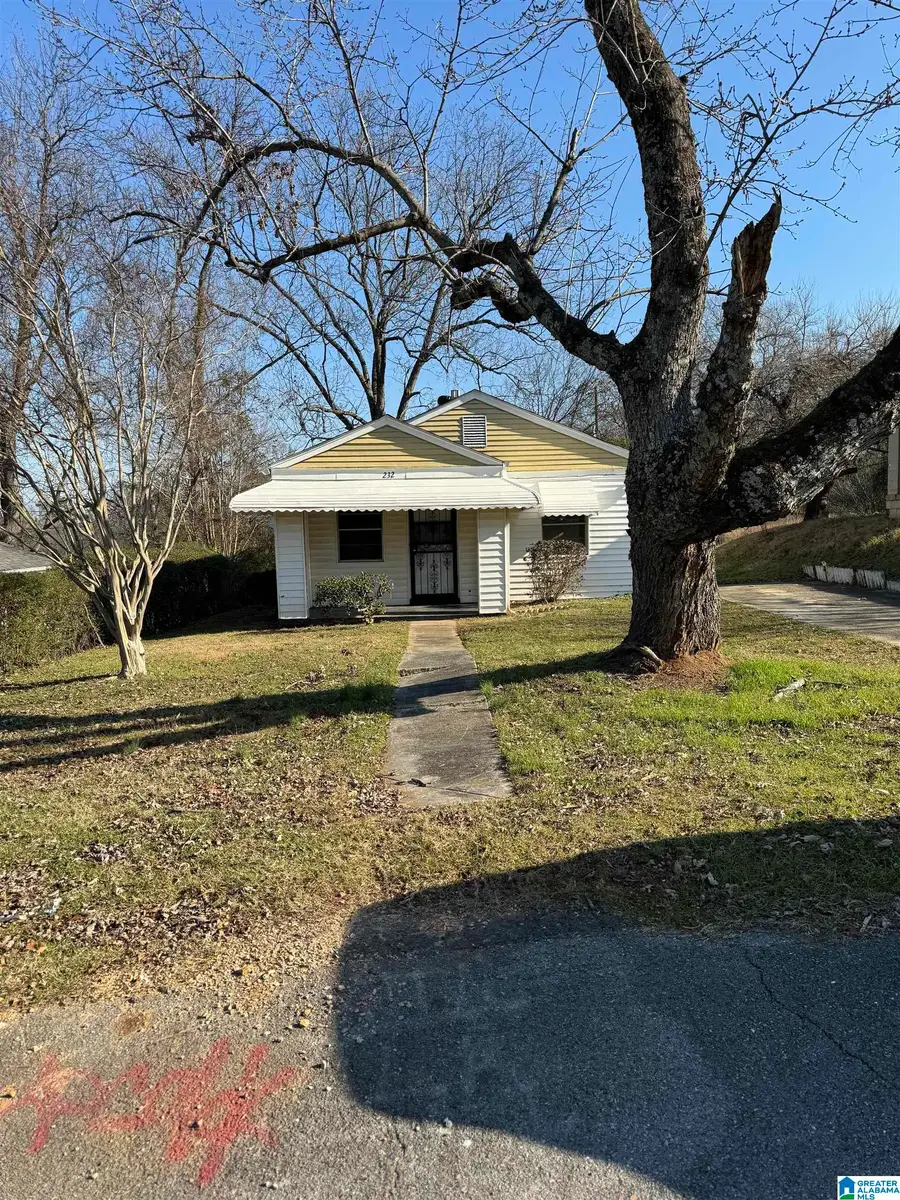 232 FLORA STREET SW, Birmingham, AL 35211 - Image #2