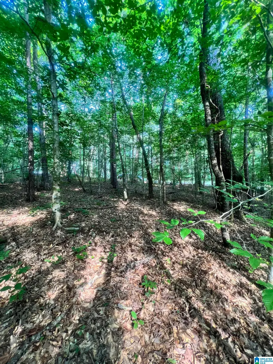 0 ANDREW JACKSON ROAD, Alexander City, AL 35010 - Image #3