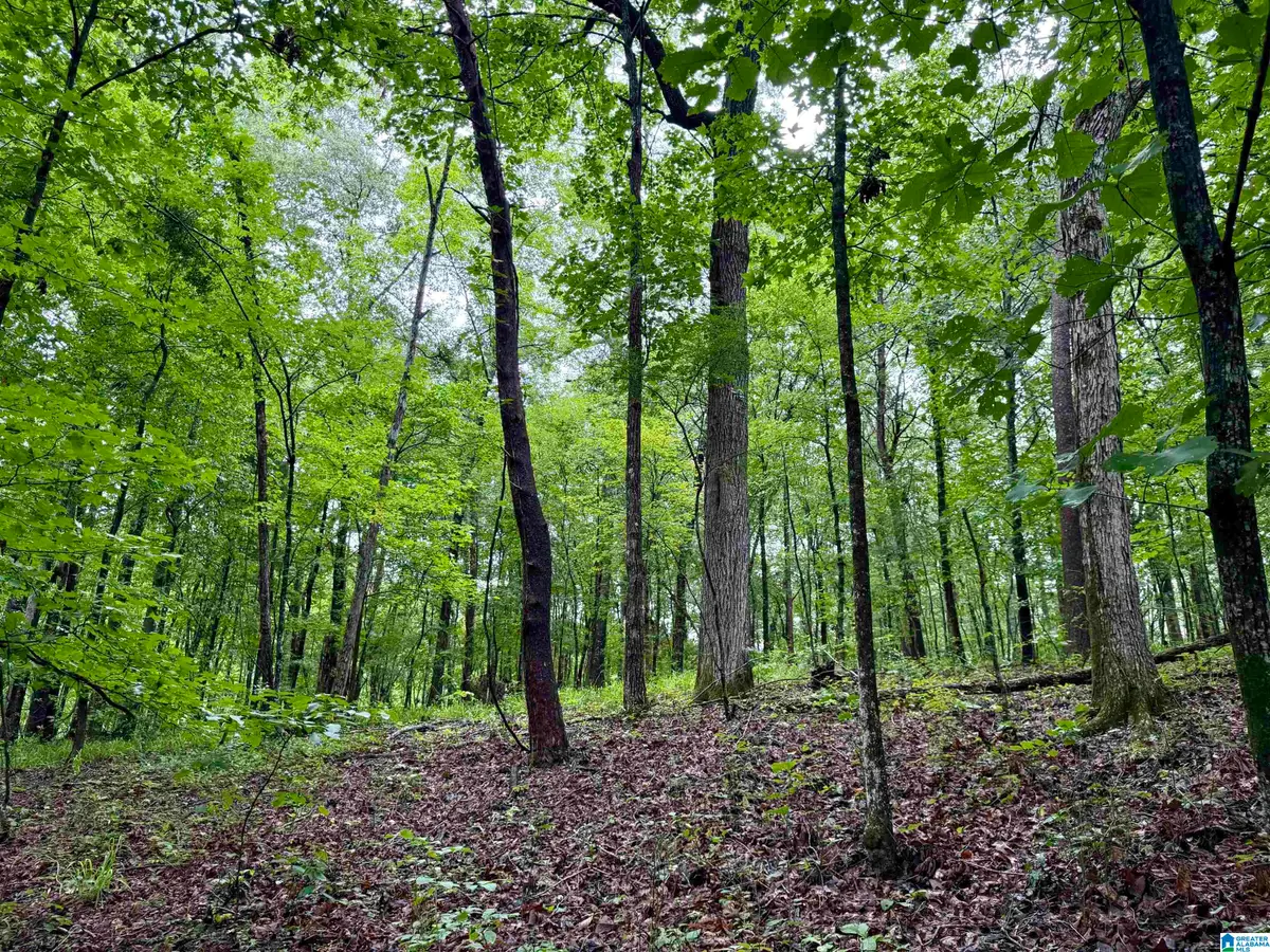 53756 HIGHWAY 25, Vandiver, AL 35176 - Image #1