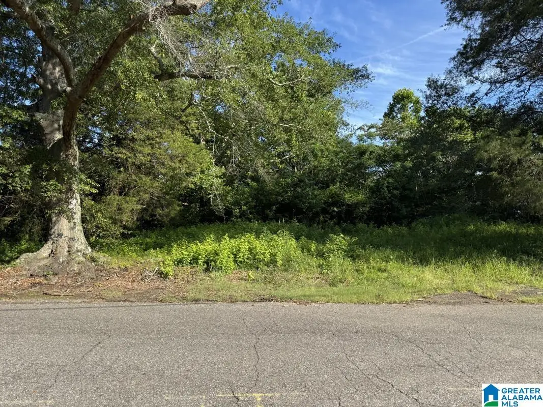 743 OAK STREET, Birmingham, AL 35210 - Image #1