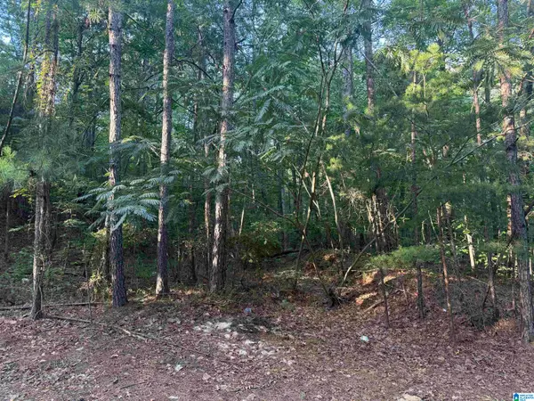 5145 WOODLAND DRIVE, Irondale, AL 35210