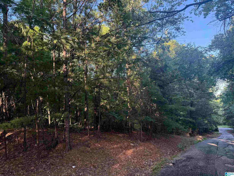 5145 WOODLAND DRIVE, Birmingham, AL 35210 - Image #2