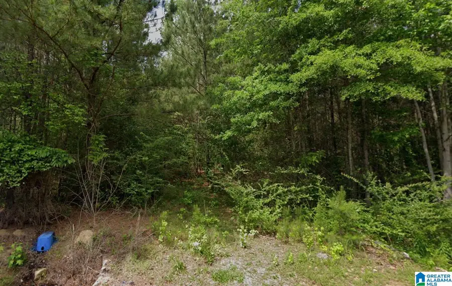 4841 MONROE DRIVE, Bessemer, AL 35022 - Image #2