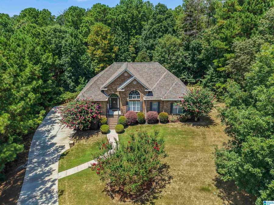 301 EMERALD LANE, Chelsea, AL 35043 - Image #2