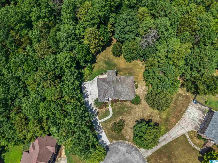 301 EMERALD LANE, Chelsea, AL 35043 - Image #3