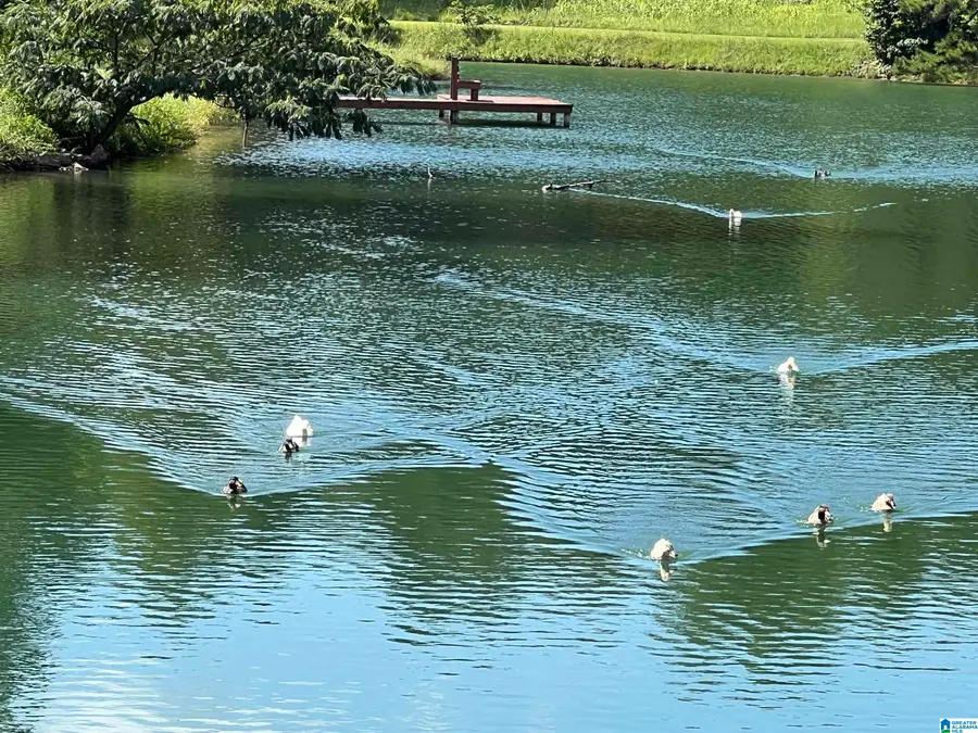 845 REDHAWK RIDGE, Springville, AL 35146 - Image #2