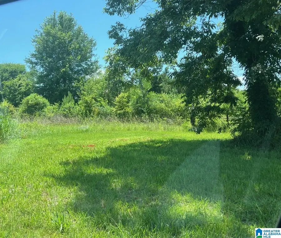 PLUM CREEK DRIVE, Vincent, AL 35178 - Image #2