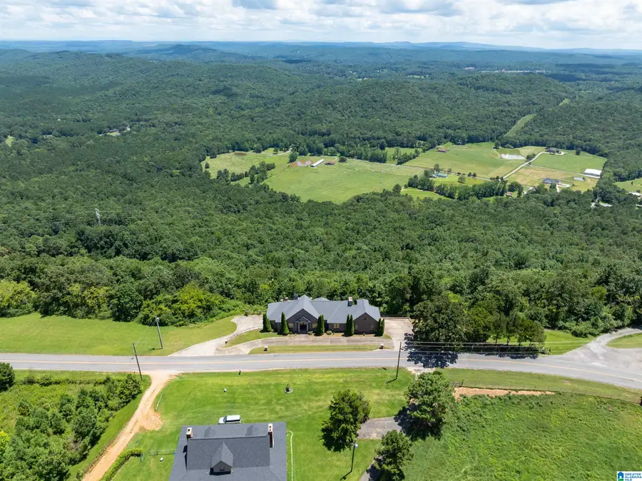 8378 PINE MOUNTAIN ROAD, Springville, AL 35146 - #3