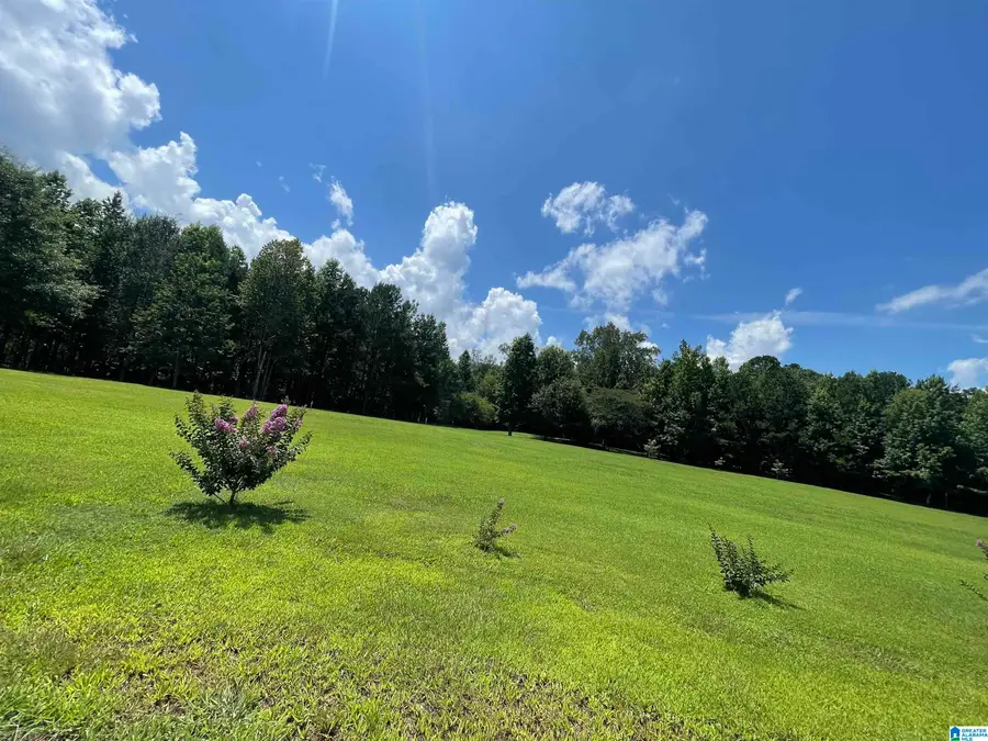 000 HIAWATHA PLACE, Rainbow City, AL 35906 - Image #2