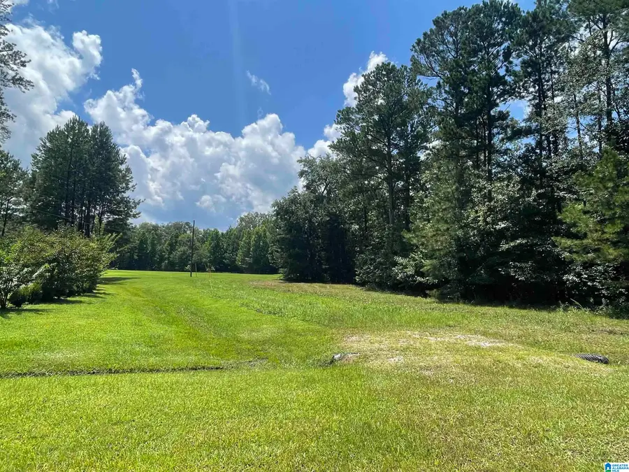 000 HIAWATHA PLACE, Rainbow City, AL 35906 - Image #3