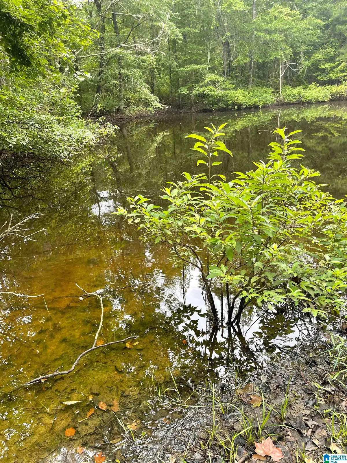 #1 HIGHWAY 55, Vandiver, AL 35176 - Image #1