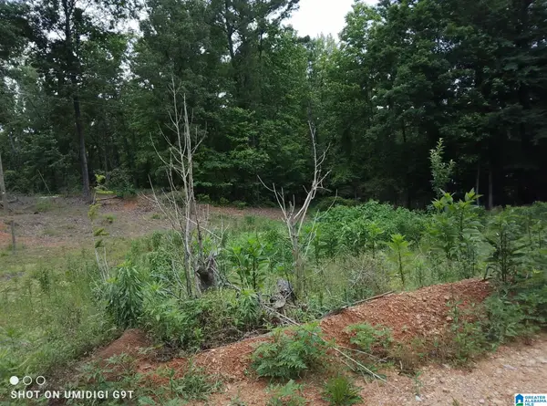 115 STERRETT DRIVE, Sterrett, AL 35147