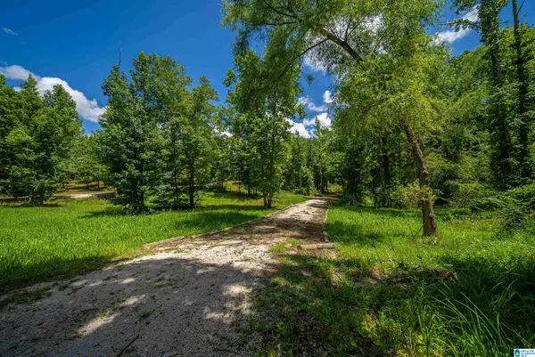 0 COUNTY ROAD 336, Piedmont, AL 36272