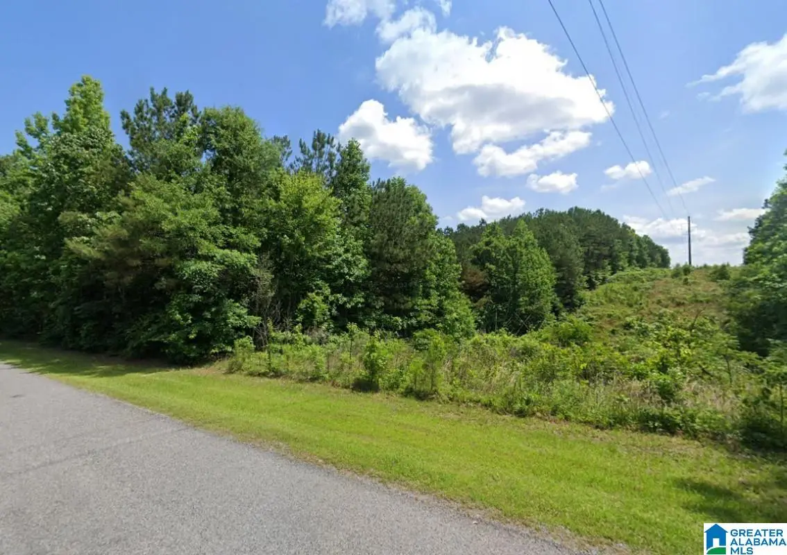 0 CHALY SPRINGS ROAD, Hayden, AL 35079 - Image #1