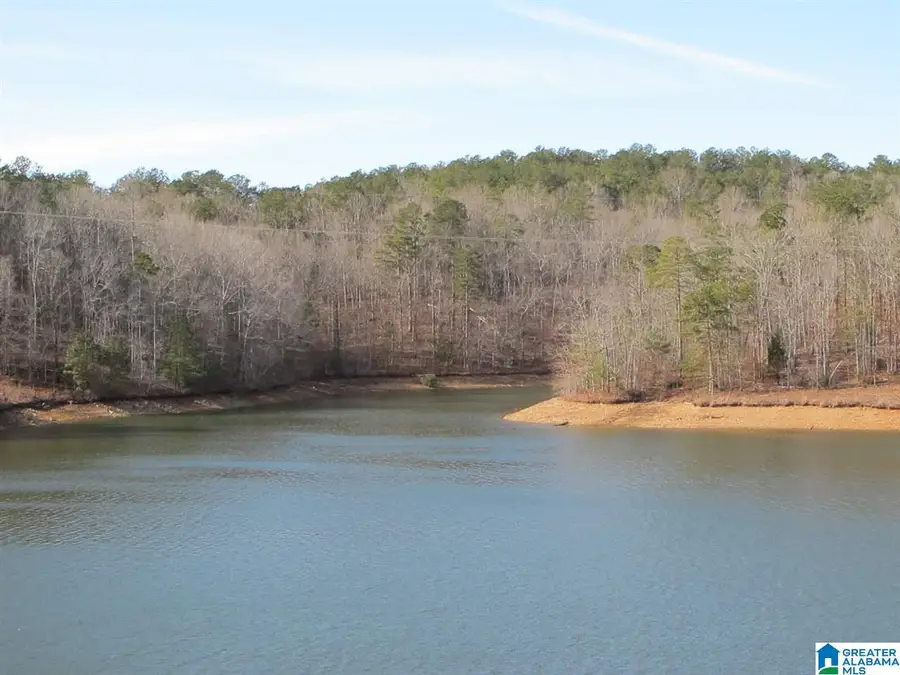 Lot 13 COUNTY ROAD 99, Wedowee, AL 36278 - Image #3