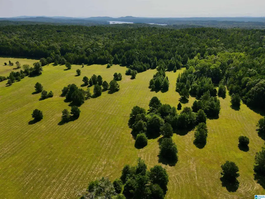 0 HIGHWAY 145, Shelby, AL 35143 - Image #2