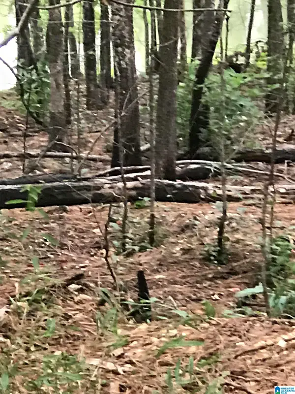 0 RENFROE ROAD, Alpine, AL 35014