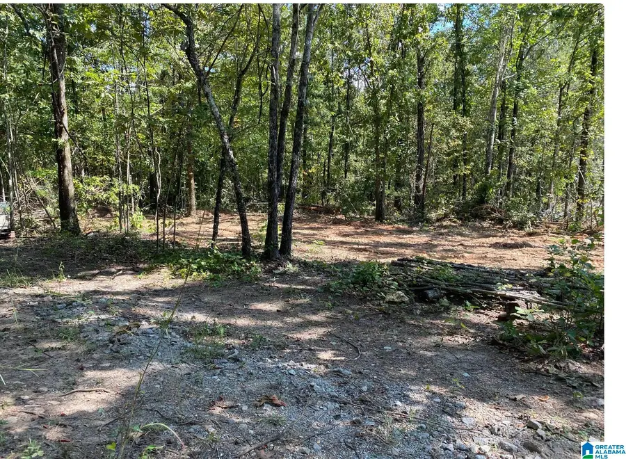 12700 PLANT ROAD, Alpine, AL 35014 - Image #3