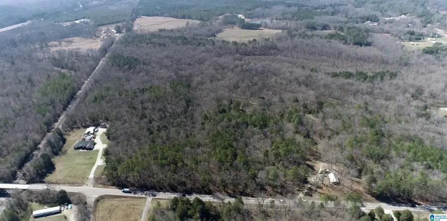 0 HIGHWAY 231, Ashville, AL 35953 - Image #3