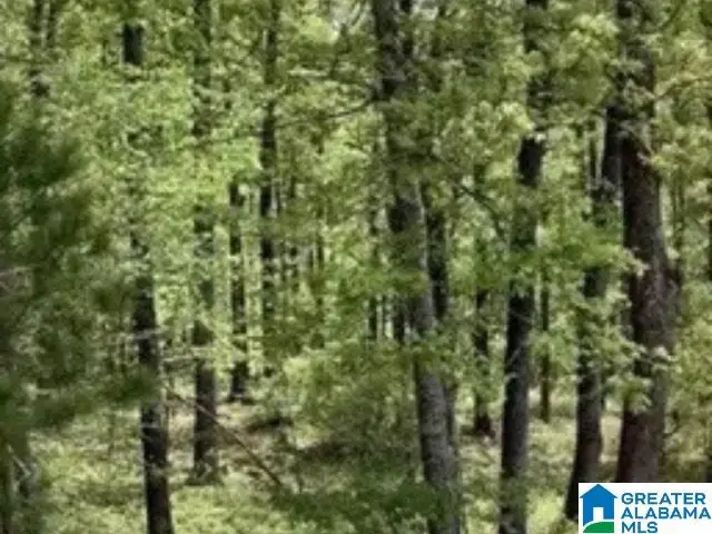 410 GRAY FOX ROAD, Springville, AL 35146 - Image #2