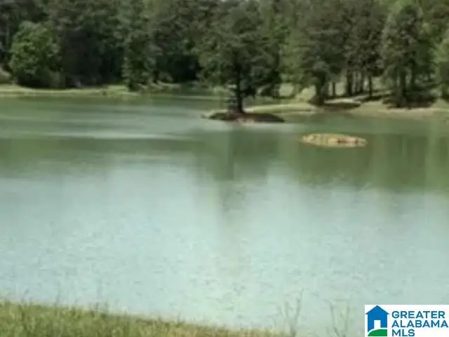 410 GRAY FOX ROAD, Springville, AL 35146 - Image #3