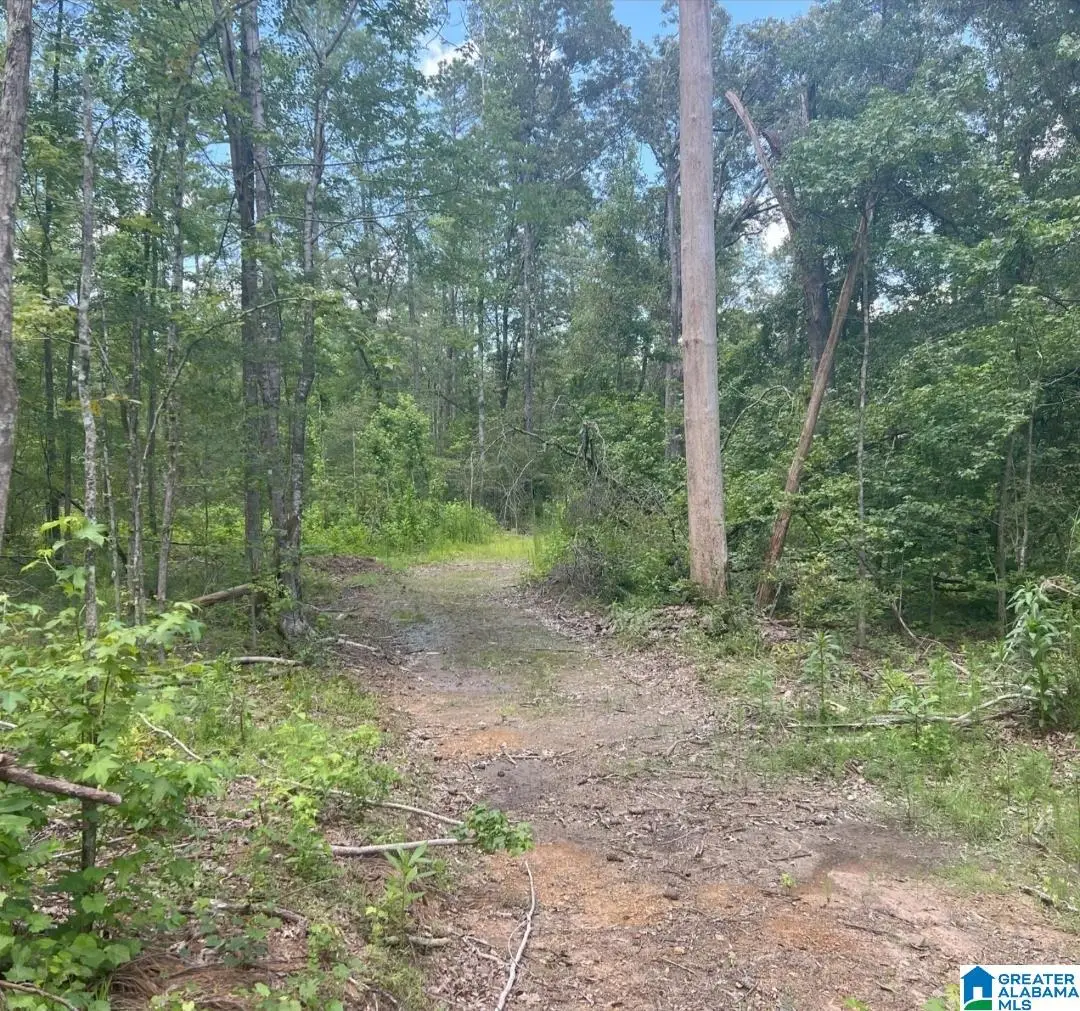 000 FLEMING ROAD, Vincent, AL 35178 - Image #1