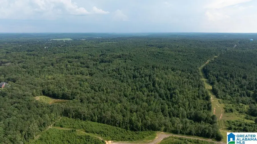 0 WILKERSON ROAD, Fayette, AL 35555 - Image #2