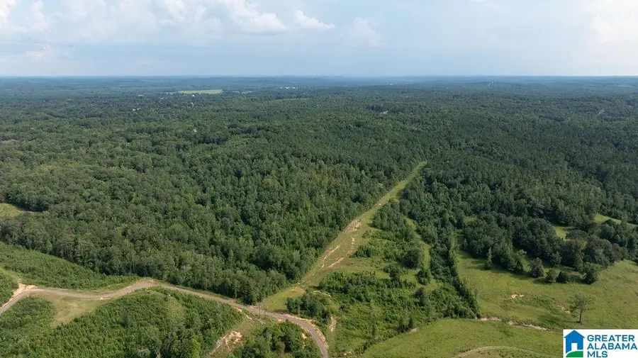 0 WILKERSON ROAD, Fayette, AL 35555 - Image #3