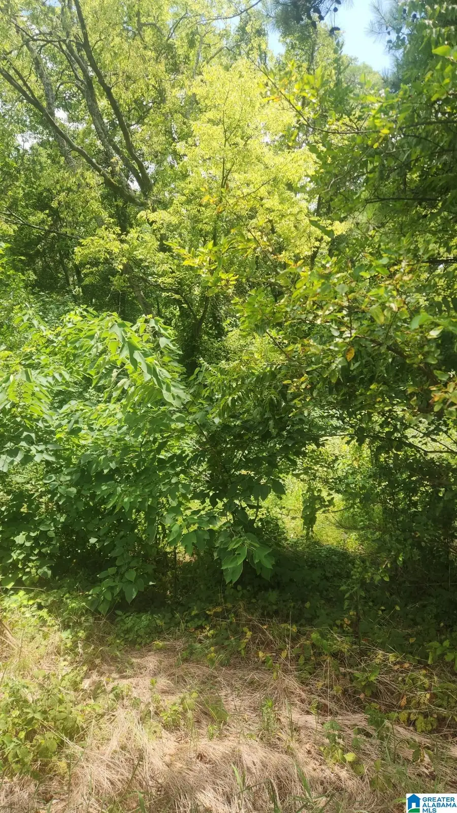 4621 43RD AVENUE N, Birmingham, AL 35217 - Image #2