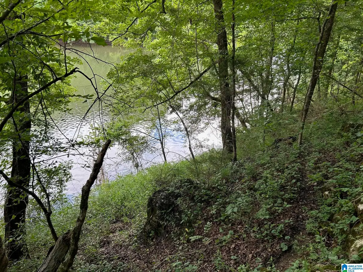 2270 BIRMINGHAM ROAD, Centreville, AL 35042 - Image #1