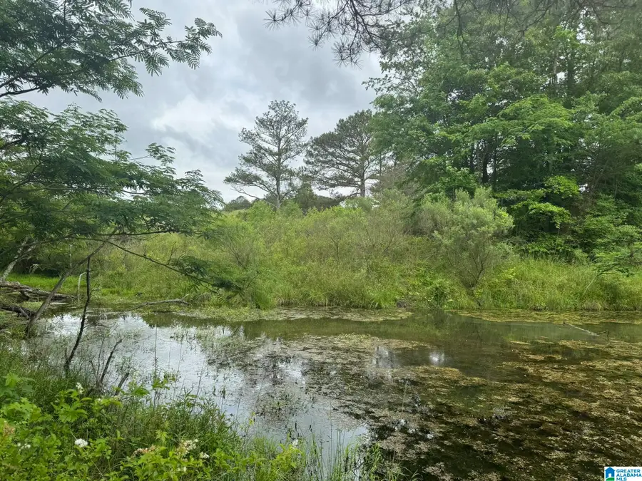 0 BUSBY CUT OFF ROAD, Nauvoo, AL 35578 - Image #2