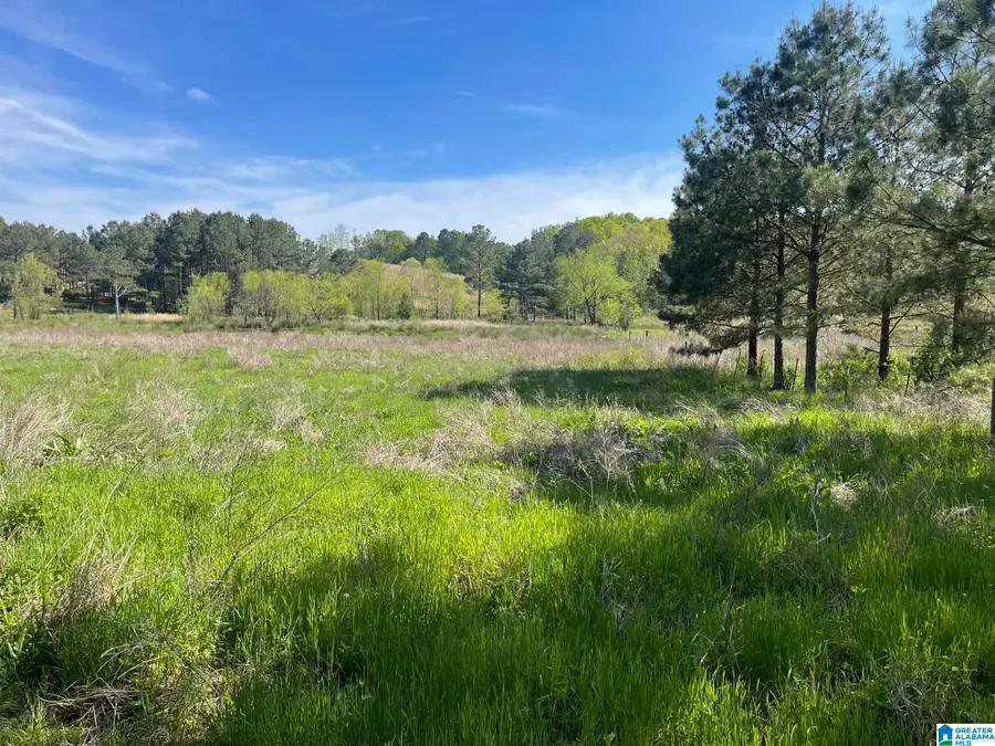 0 BUSBY CUT OFF ROAD, Nauvoo, AL 35578 - Image #3