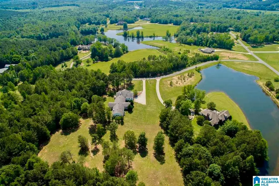 151 HIGH BRIDLE CIRCLE, Calera, AL 35040 - Image #3