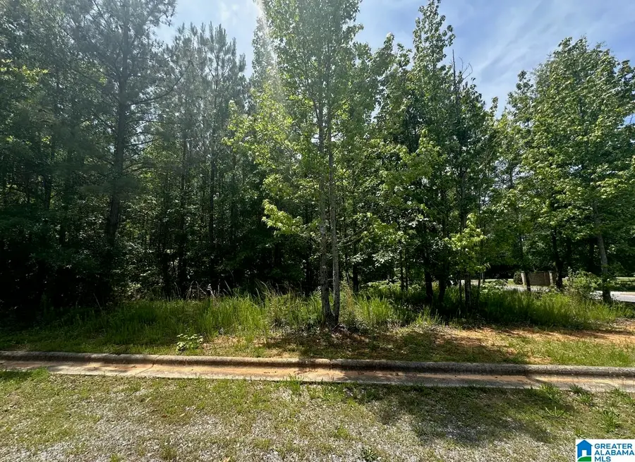 0 CLUB HOUSE ROAD, Sylacauga, AL 35150 - Image #3