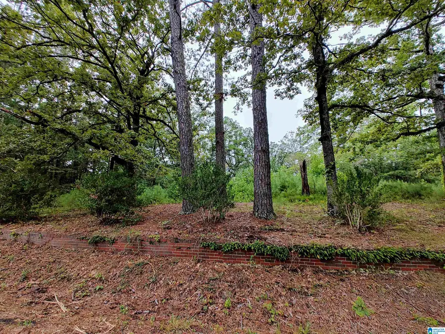 160 CIRCLE DRIVE NE, Pell City, AL 35128 - Image #2