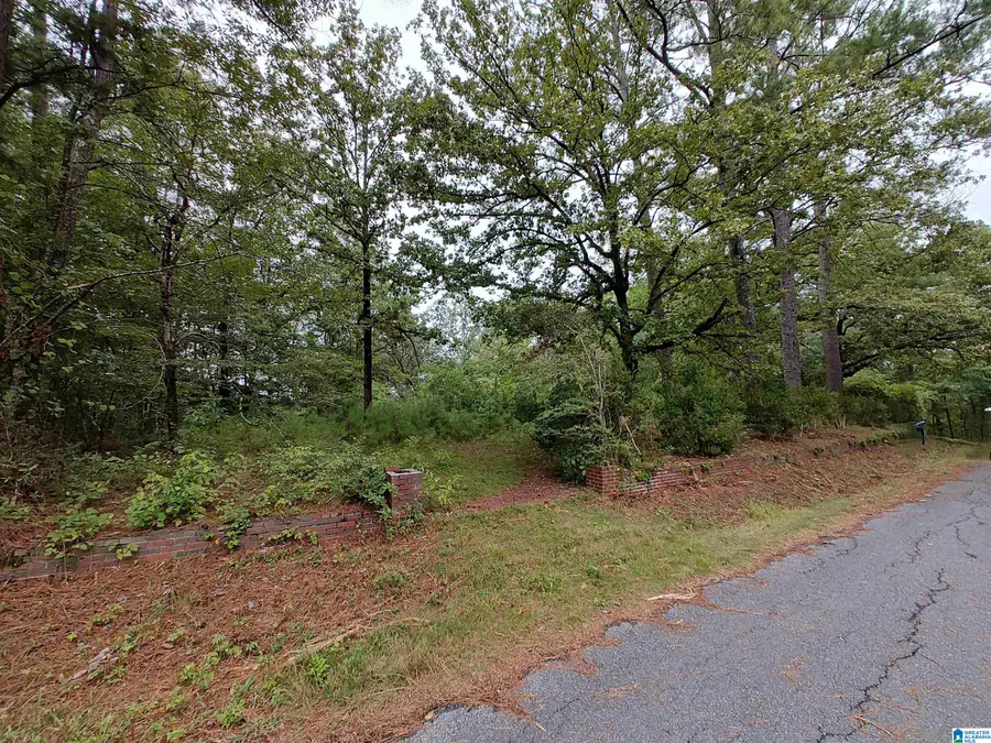 160 CIRCLE DRIVE NE, Pell City, AL 35128 - Image #3